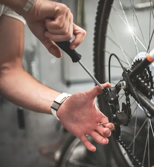 Imagen de la tienda de bicicletas